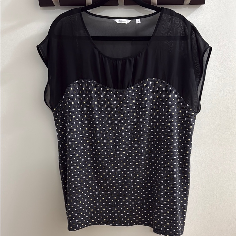 Reitman’s Women’s Princess Cut Cap Sleeve Plus Size Pullover Blouse EUC